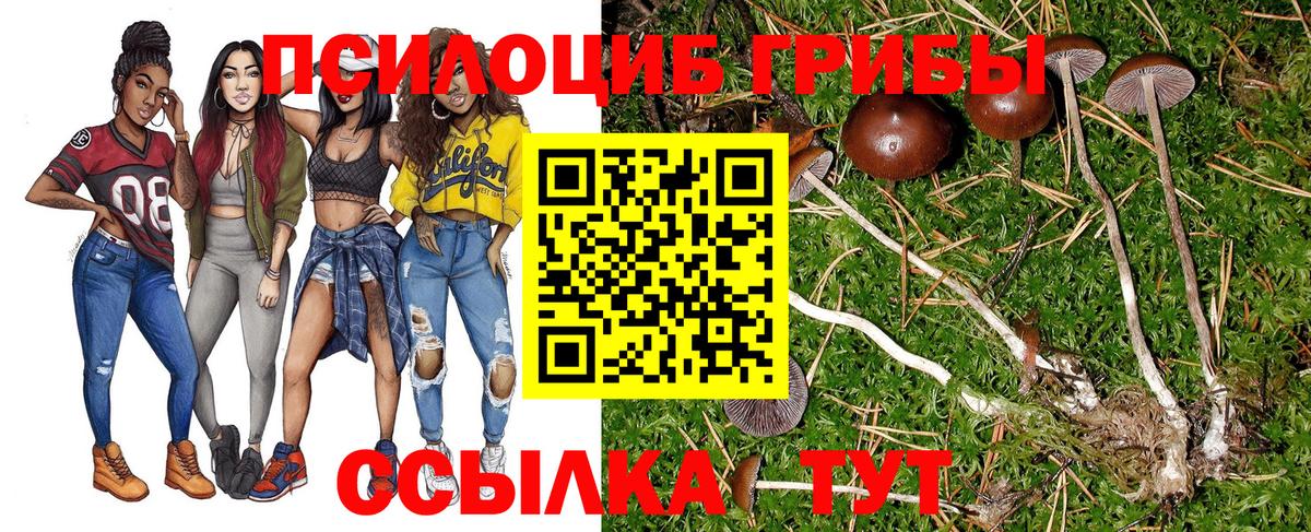 даркнет сайт  Псилоцибиновые грибы Magic Shrooms  Вход с VPN  Белая Калитва 